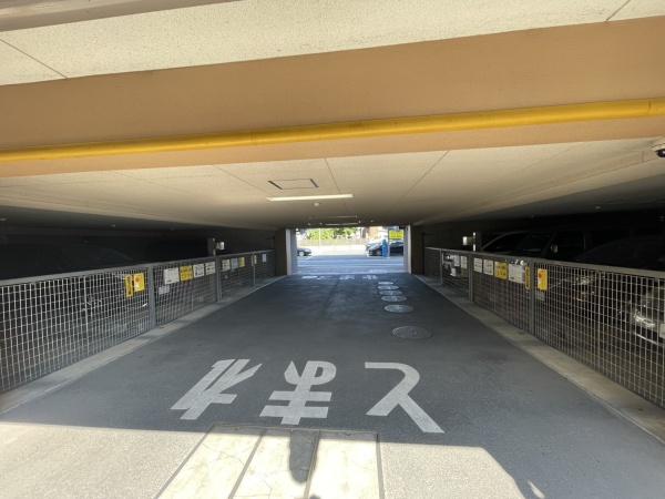 レクセルヒルズ赤塚公園
