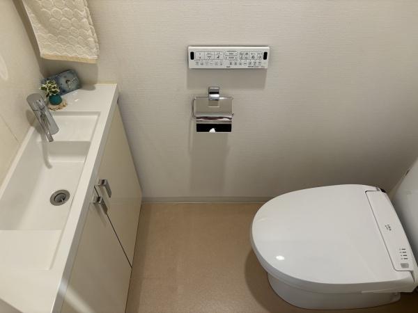 コットンアイランドアルテ