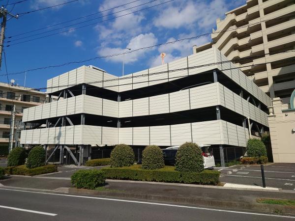 コットンアイランドアルテ