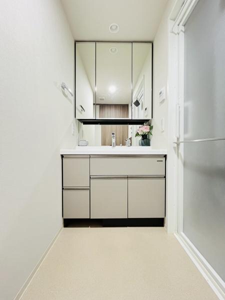 クレアホームズ浦和辻緑道(洗面台・洗面所)