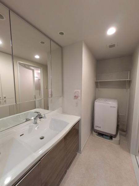 レーベンふじみ野ソラヒルズ(洗面台・洗面所)