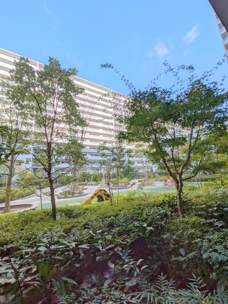 シントシティ　SHINTO　CITY　D棟