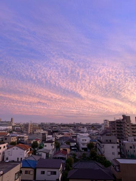 グランシンフォニアEAST棟
