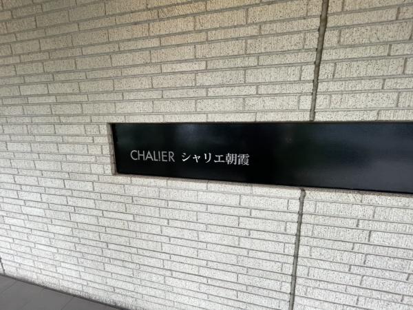 シャリエ朝霞