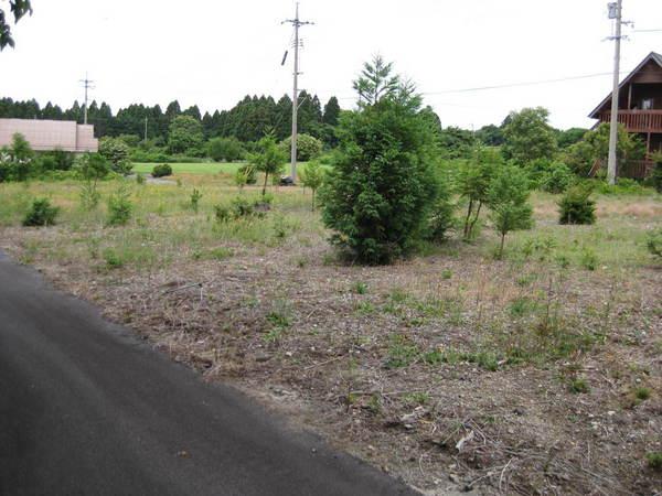 西伯郡大山町高田の土地