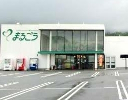 西伯郡南部町東町の土地(まるごう西伯店)