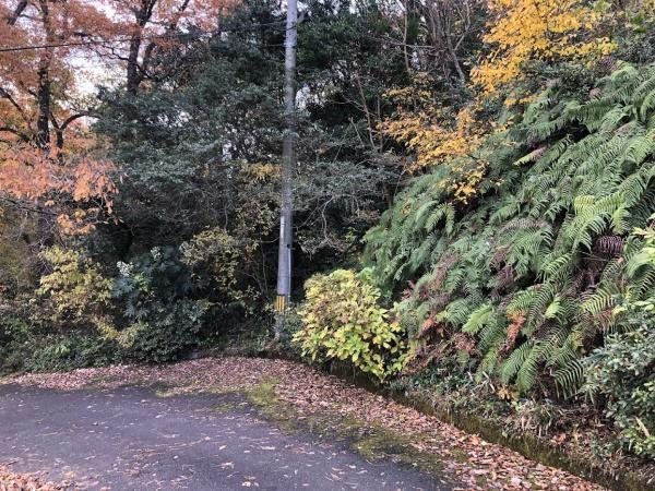 尾高土地