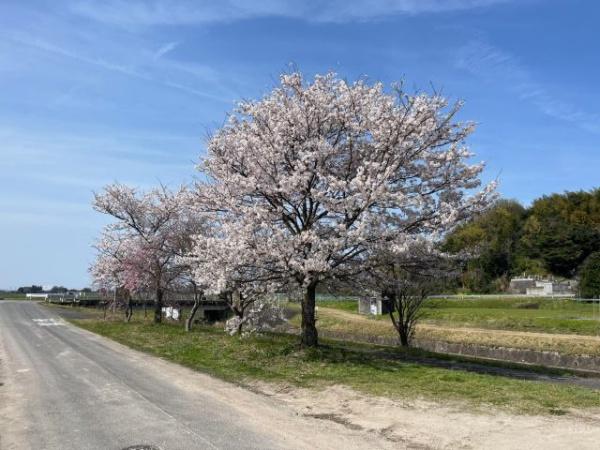 西伯郡伯耆町押口の土地