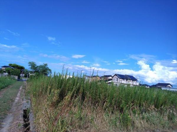 彦名町　241坪
