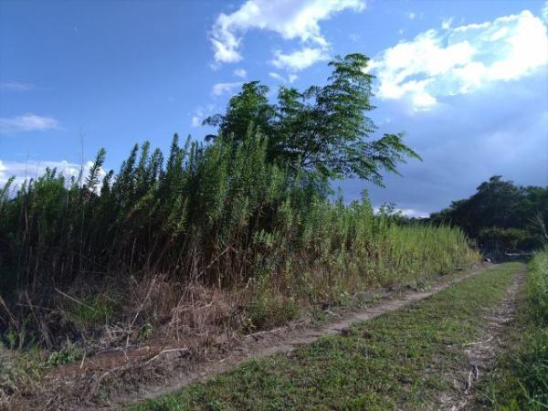 彦名町　241坪