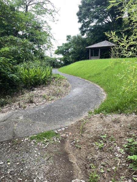 東伯郡湯梨浜町大字松崎の土地(散歩道)