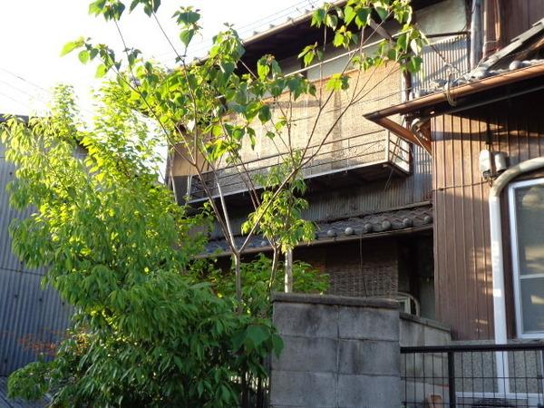 京都市東山区今熊野南日吉町の中古テラスハウス