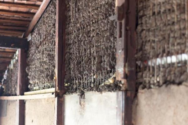 京都市上京区大宮通五辻下る観世町の中古一戸建て