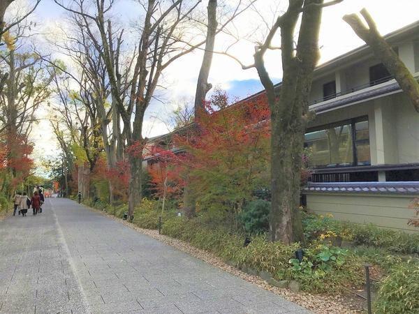 Ｊ・ＧＲＡＮ　ＴＨＥ　ＨＯＮＯＲ　下鴨糺の杜