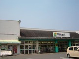 森第4 1号棟(マルショク高田店)