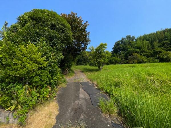 大分市大字木上の土地