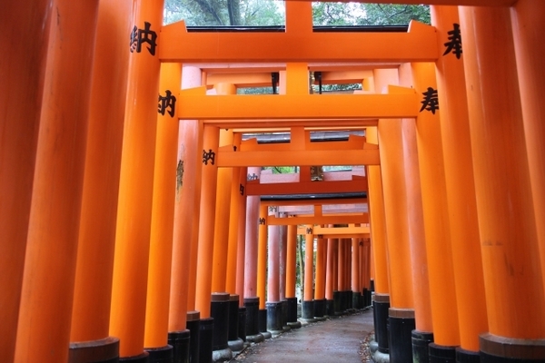 京都市伏見区深草極楽寺町の土地(伏見稲荷大社)