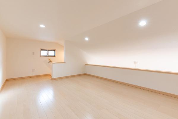 京都市伏見区桃山水野左近西町の新築一戸建