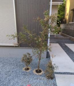 京都市伏見区桃山町伊賀の新築一戸建
