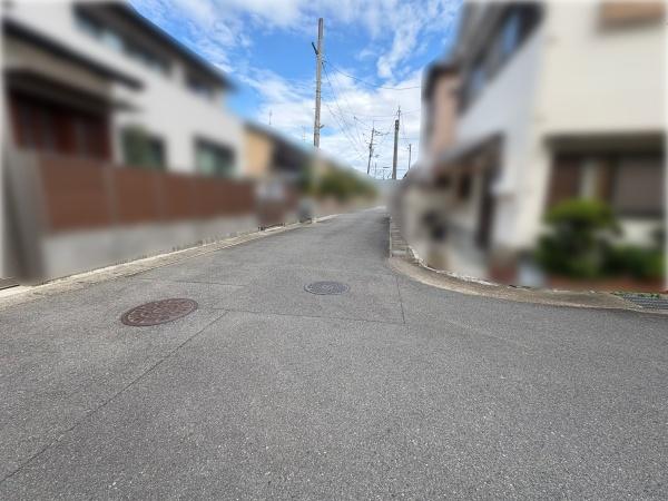 京都市伏見区桃山与五郎町の新築一戸建(前面道路含む現地写真)