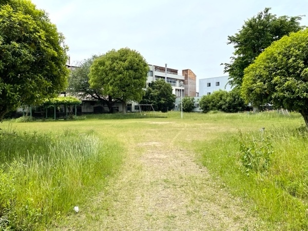 マイプラザ塔南(北石原児童公園)