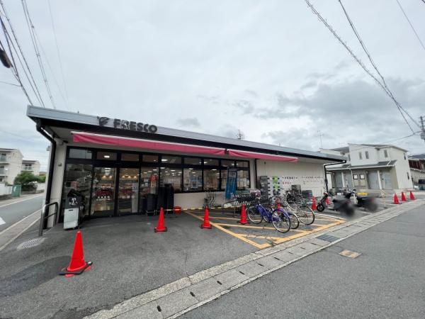 京都市伏見区向島立河原町の土地(フレスコ向島店)