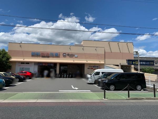 京都市伏見区聚楽町２丁目の新築一戸建(新鮮激安市場！伏見丹波橋店)