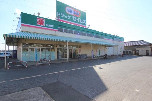 大網白里市南飯塚の中古一戸建て(ドラッグセイムス大網店)