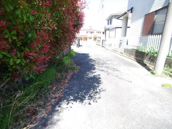 大網白里市　永田（おおあみしらさとし　ながた）