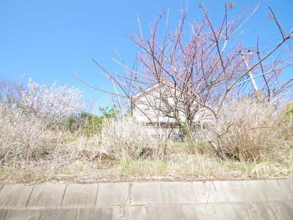 東金市油井の中古一戸建て