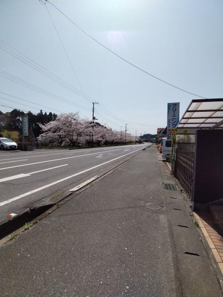 山武市　日向台（さんむし　ひゅうがだい）