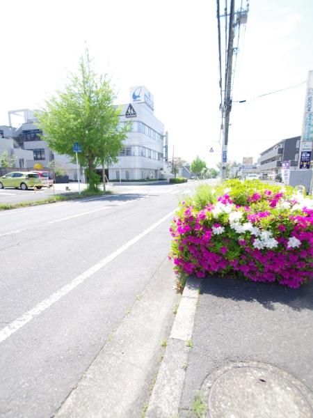 佐倉市　表町２丁目