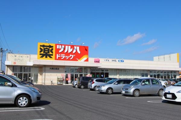 大網白里市大網の中古一戸建て(ツルハドラッグ大網白里店)