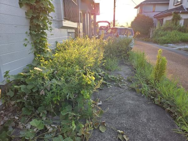 大網白里市　南横川