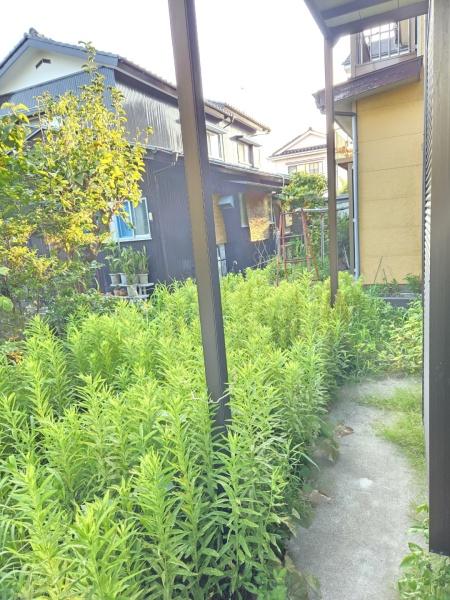 大網白里市　南横川