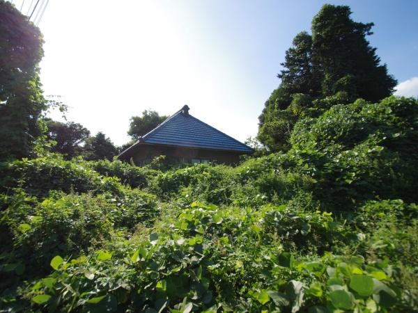 山武郡芝山町境の土地
