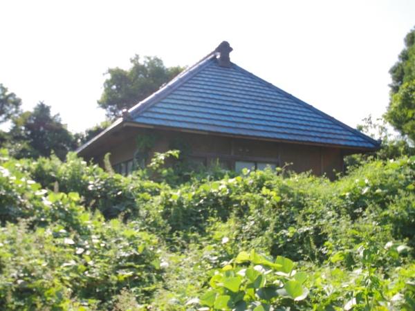 山武郡芝山町境の土地