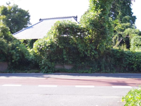 山武郡芝山町境の土地