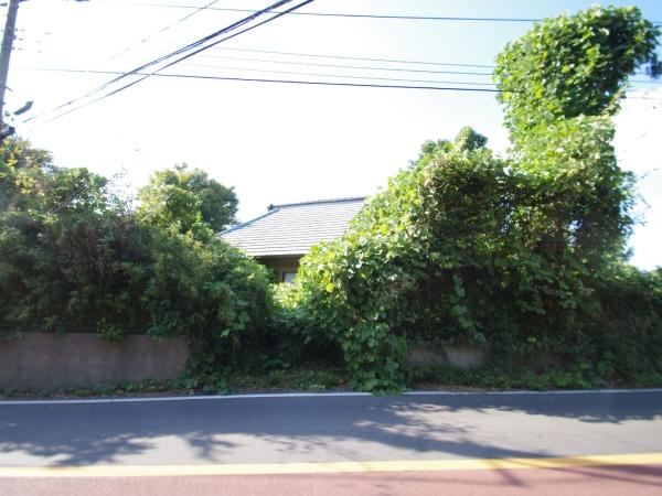 山武郡　芝山町　境（さんぶぐん　しばやままち　さかい）