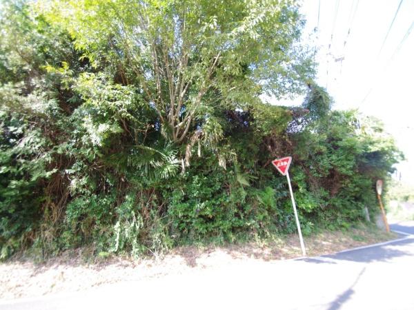 山武郡　芝山町　境（さんぶぐん　しばやままち　さかい）