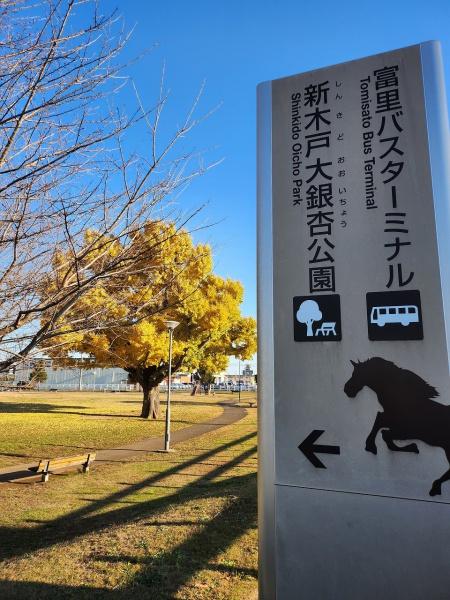 富里市七栄の中古一戸建て(新木戸大銀杏公園)