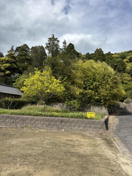 東金市大豆谷の土地