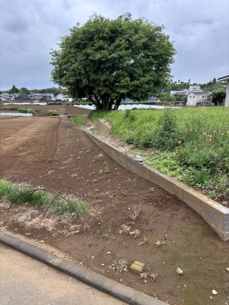 八街市泉台１丁目の土地