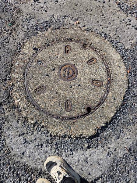 山武市板中新田の土地