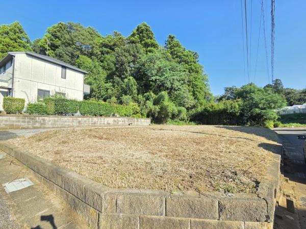 山武市板中新田の土地