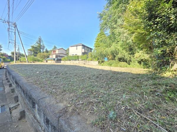 山武市板中新田の土地