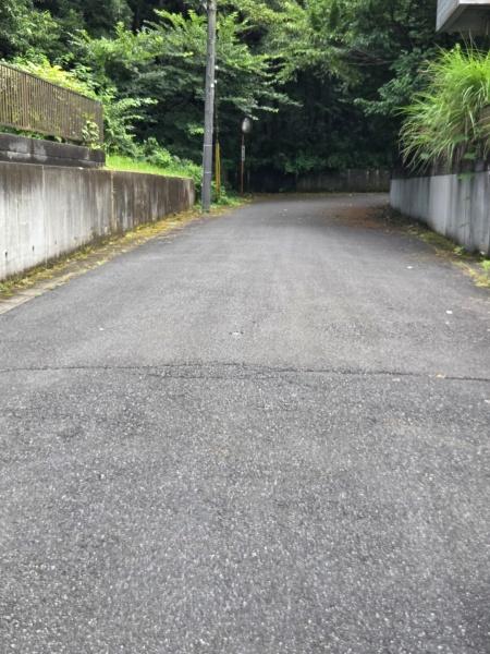 山武市　森　（さんむし　もり）