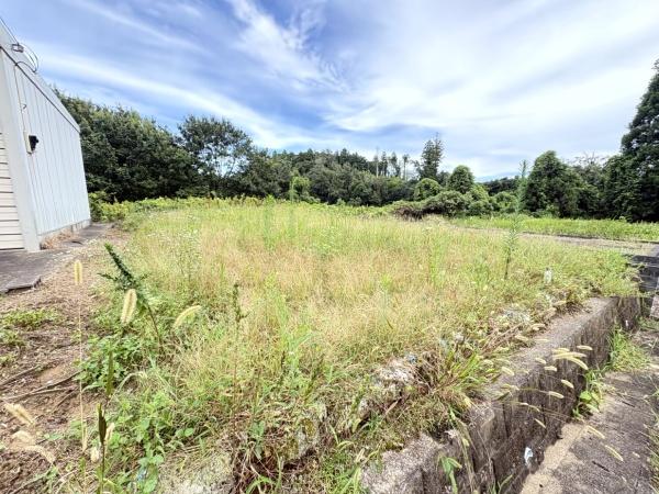 山武市　埴谷　（さんむし　はにや）建築条件なし土地