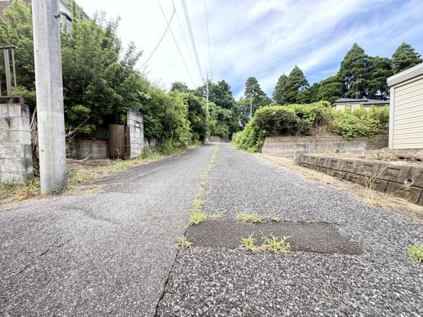 山武市埴谷の土地