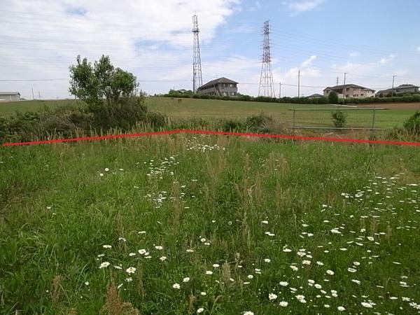 八街市文違の土地